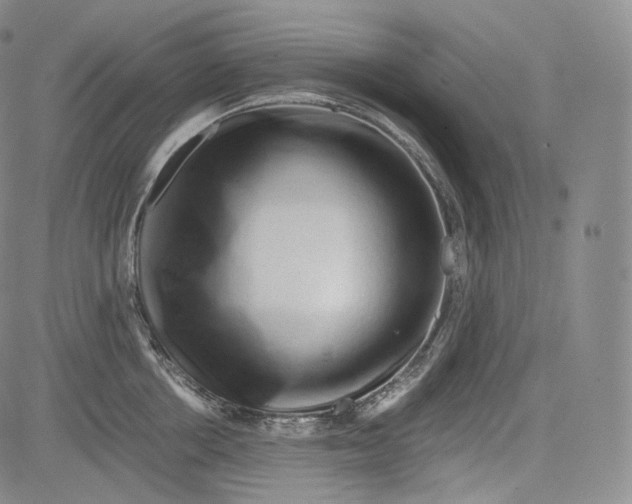 X0000084040858200703022147