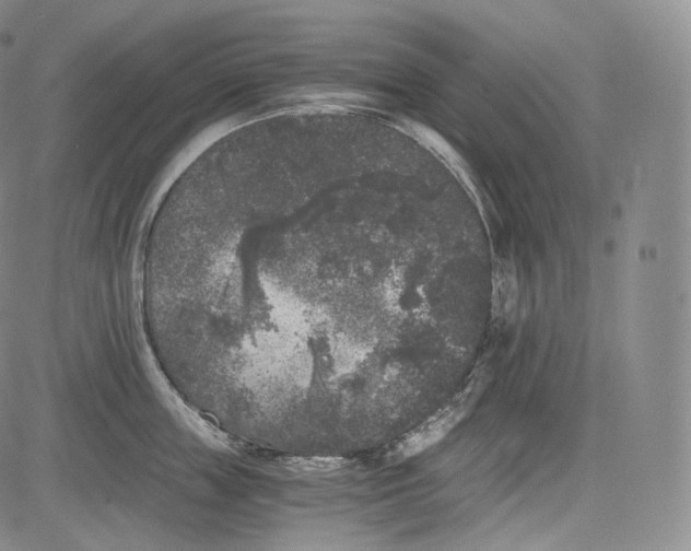 X0000084040859200703022147