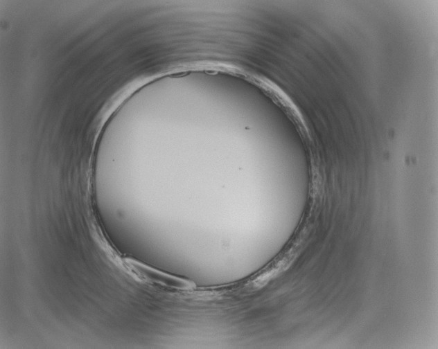 X0000084040860200703022147