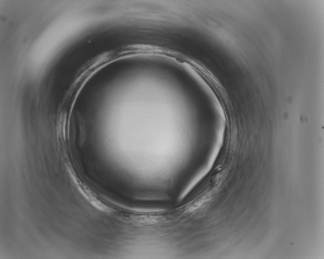 X0000084040862200703022147