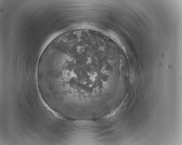 X0000084040863200703022147