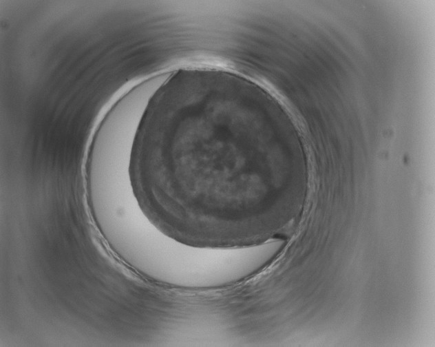 X0000084040864200703022147