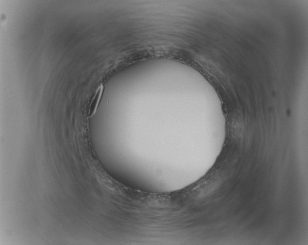 X0000084040865200703022146