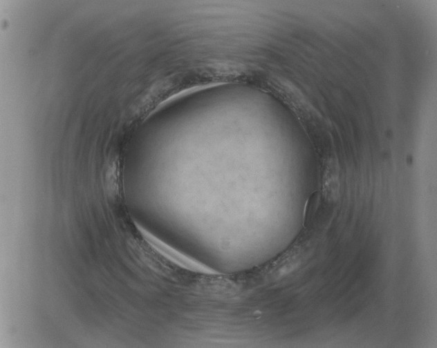 X0000084040866200703022146