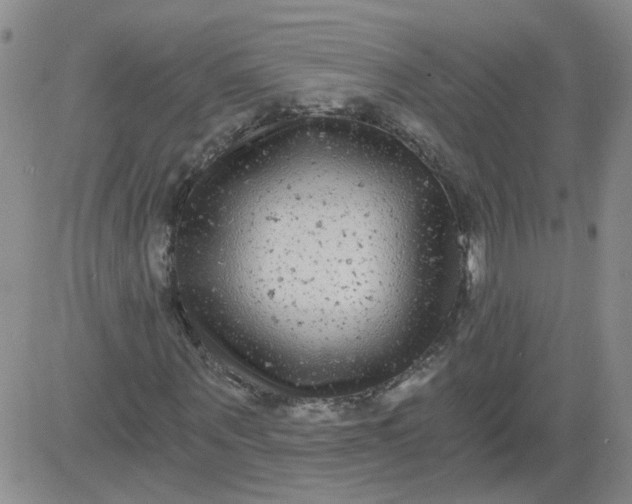 X0000084040867200703022146