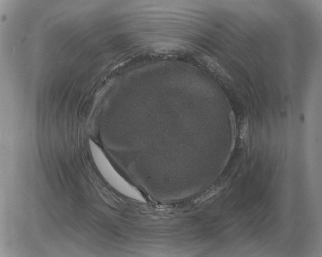 X0000084040868200703022146