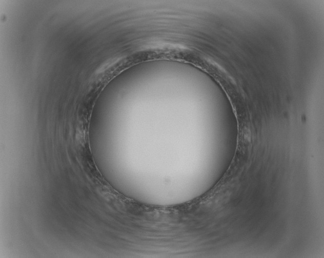 X0000084040869200703022146