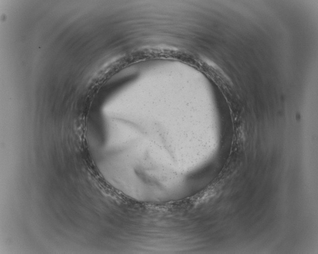 X0000084040870200703022146