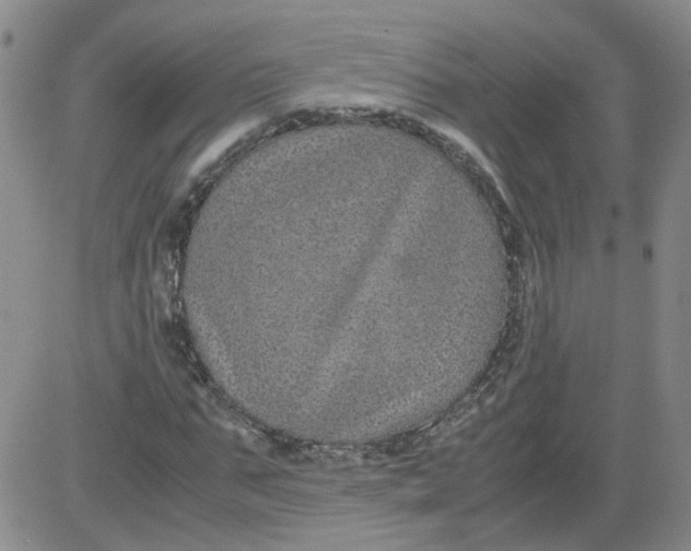 X0000084040871200703022146