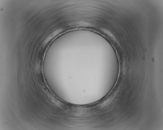 X0000084040873200703022146