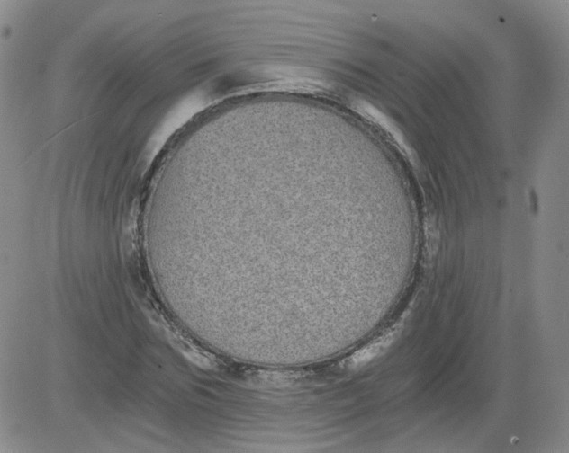 X0000084040875200703022146