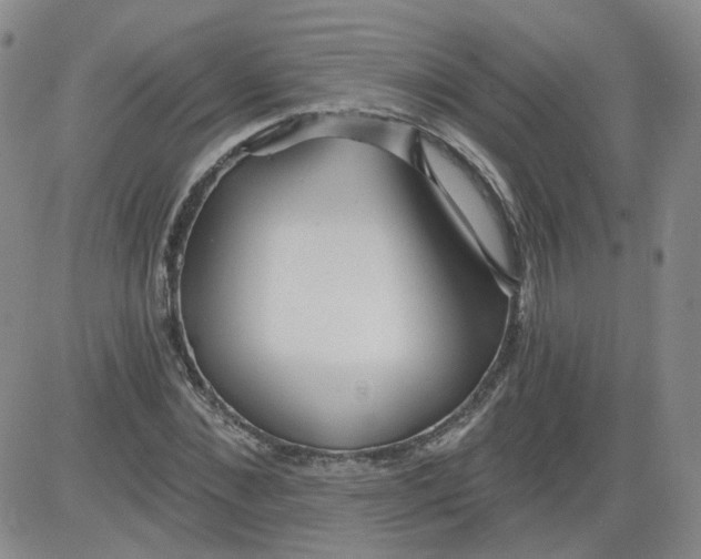 X0000084040876200703022146