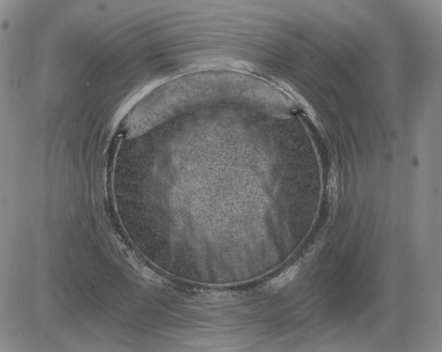 X0000084040877200703022146