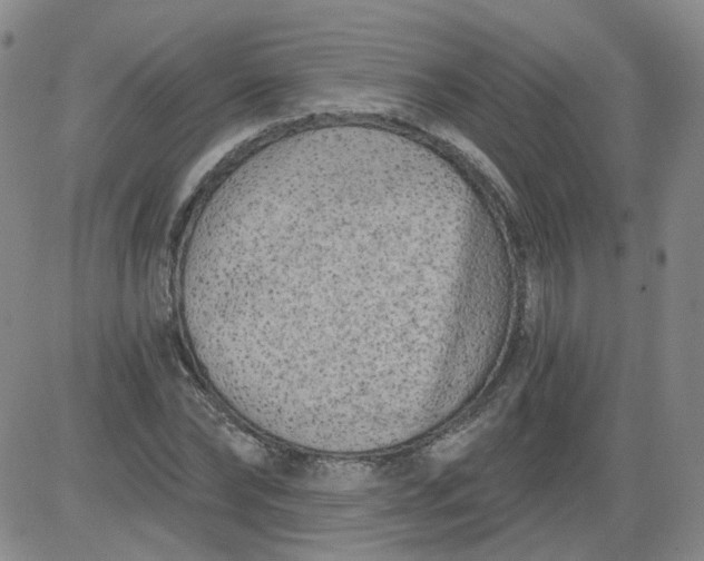 X0000084040878200703022146