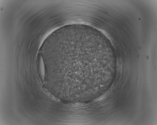 X0000084040879200703022146