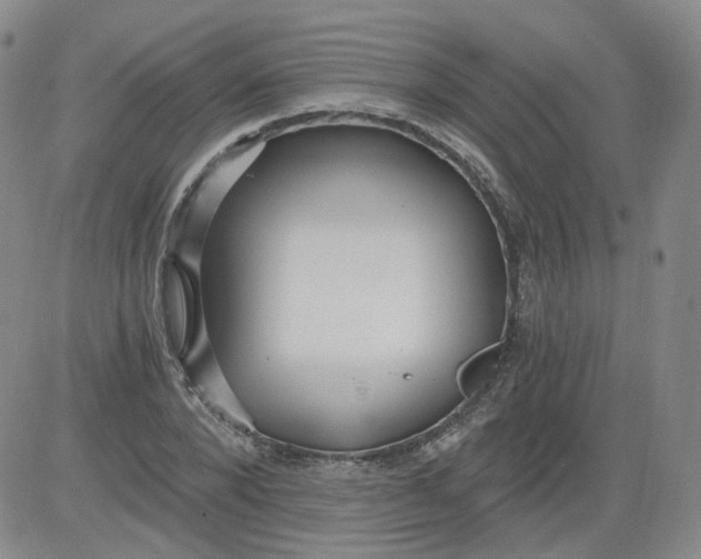 X0000084040880200703022146