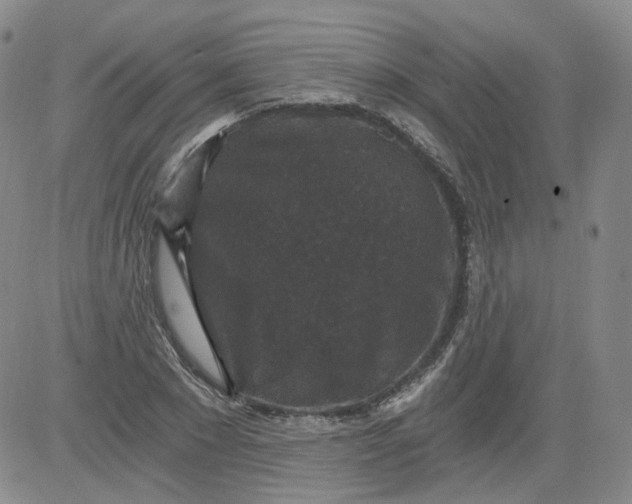 X0000084040881200703022146