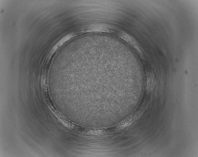 X0000084040882200703022146