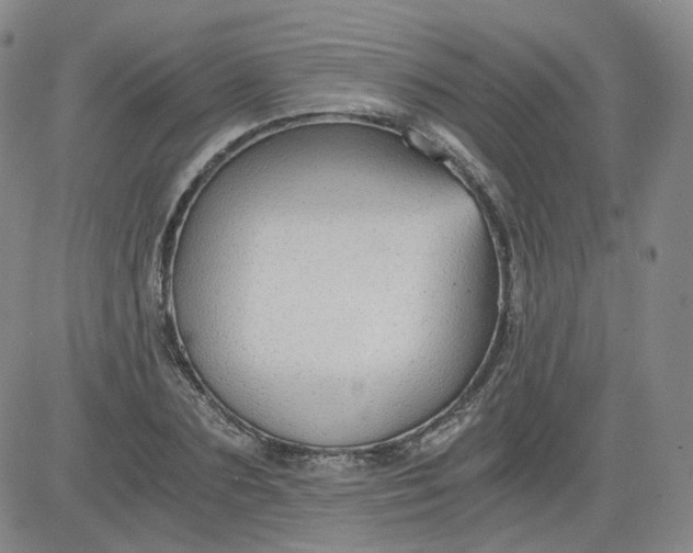 X0000084040883200703022146