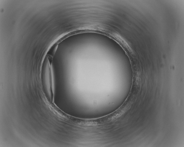 X0000084040884200703022146