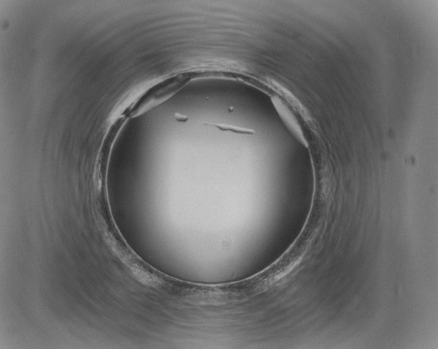 X0000084040885200703022146