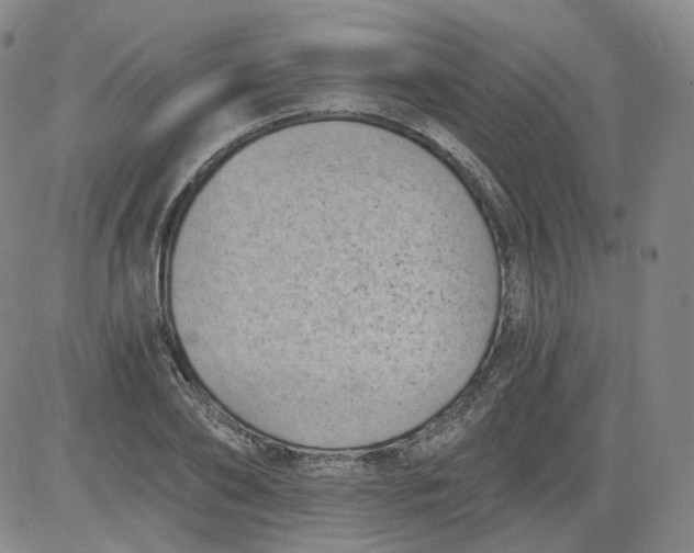 X0000084040886200703022146