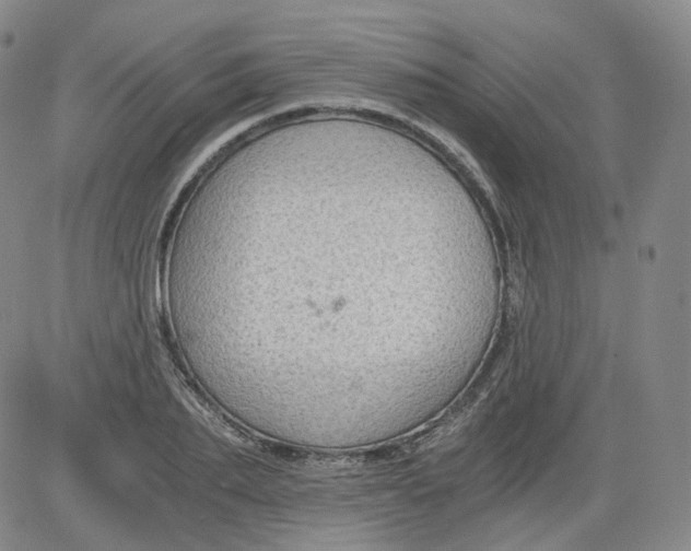 X0000084040887200703022146