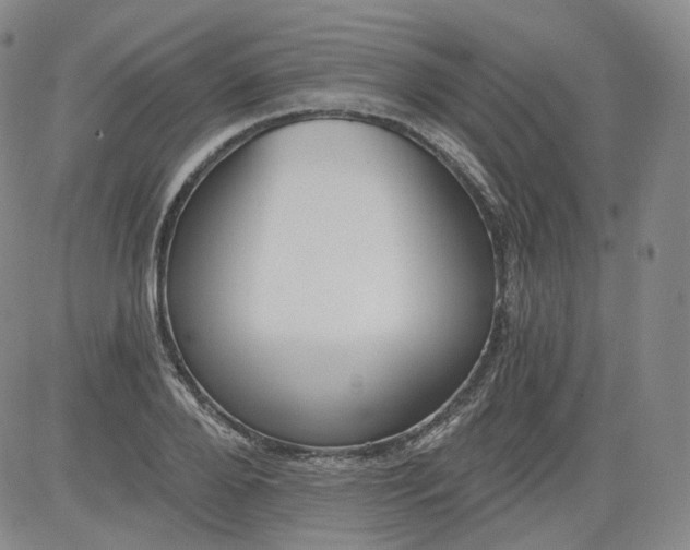 X0000084040888200703022146