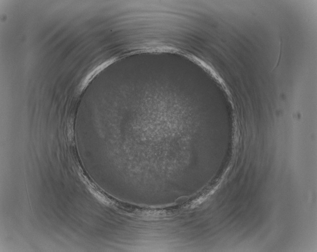 X0000084040889200703022146