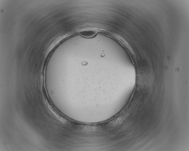 X0000084040890200703022146