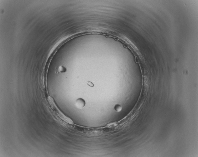 X0000084040891200703022146