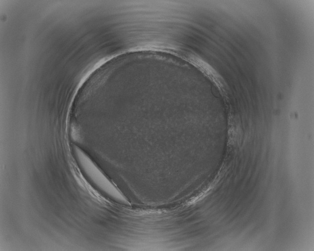 X0000084040892200703022146