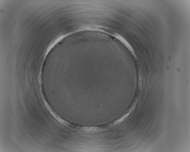 X0000084040893200703022146