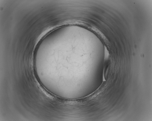 X0000084040894200703022146