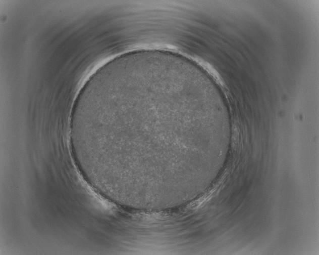 X0000084040895200703022146