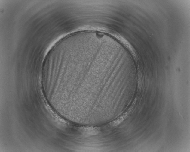 X0000084040896200703022146