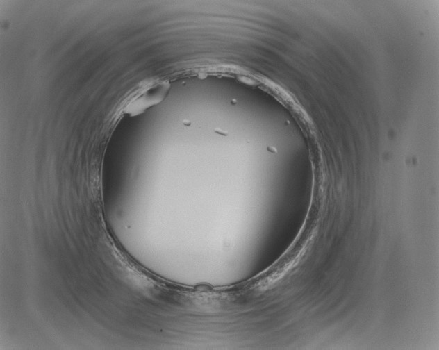 X0000084040897200703022146