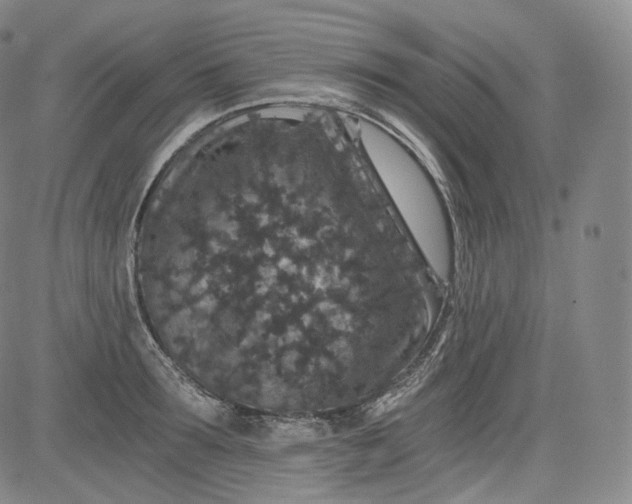 X0000084040899200703022146