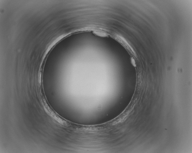 X0000084040900200703022146