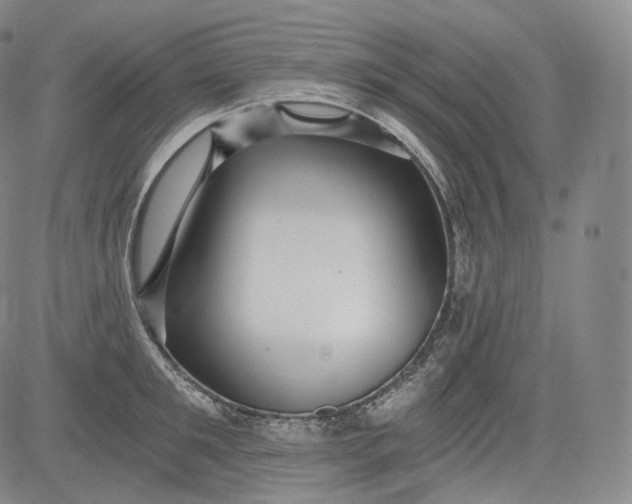 X0000084040901200703022146