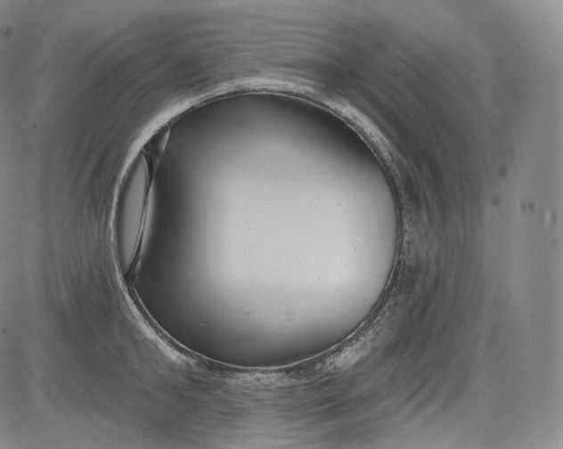 X0000084040902200703022146