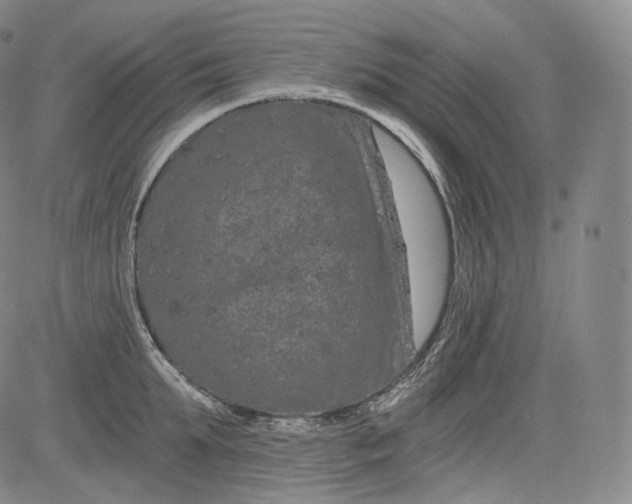 X0000084040903200703022146