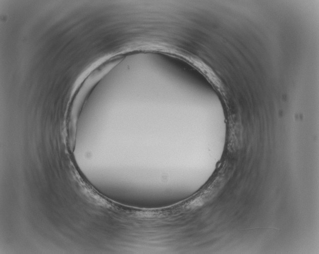 X0000084040904200703022146