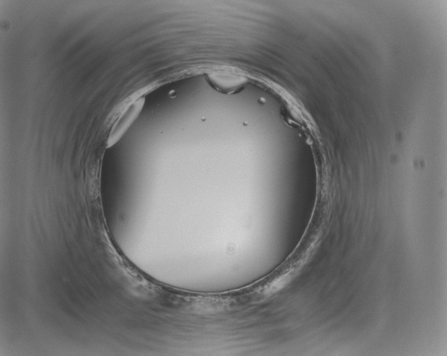 X0000084040905200703022146