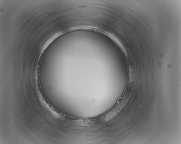 X0000084040906200703022146