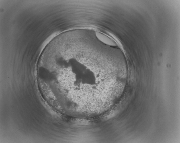 X0000084040907200703022146