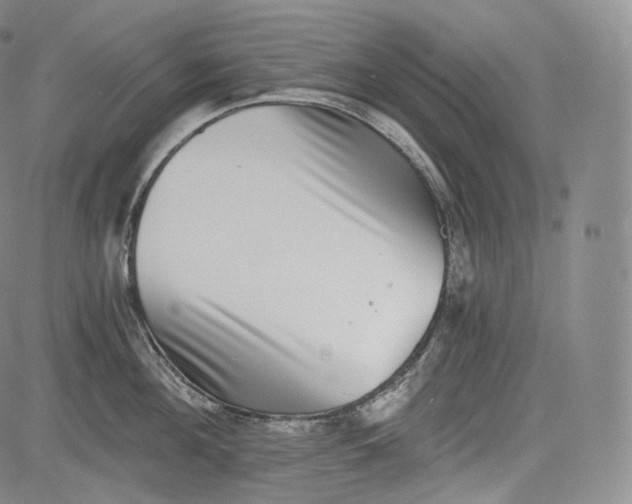 X0000084040908200703022146