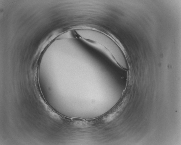 X0000084040909200703022146