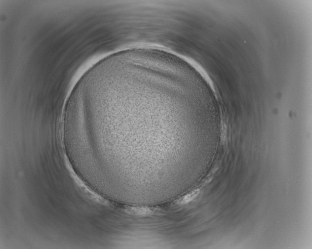 X0000084040911200703022145