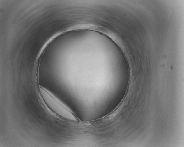 X0000084040912200703022145